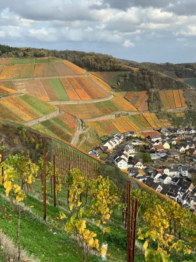 Rheinvilla Arte Remagen Zewnętrze zdjęcie